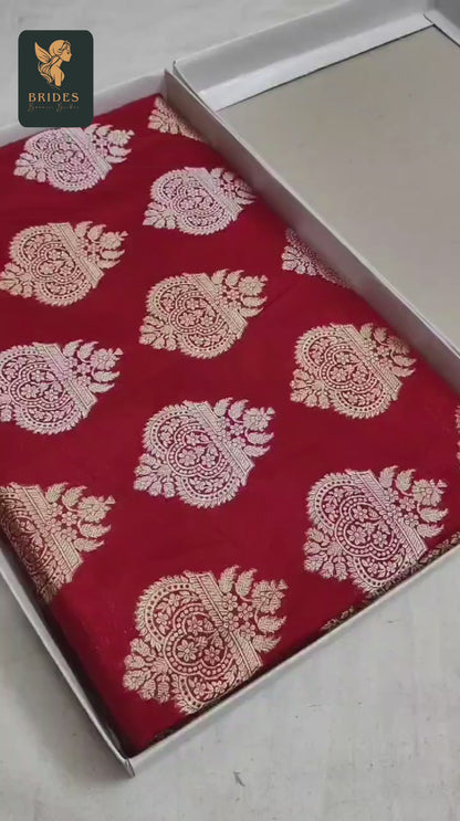 Ravina tondon banarsi saree